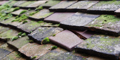 Wexham roof repair costs
